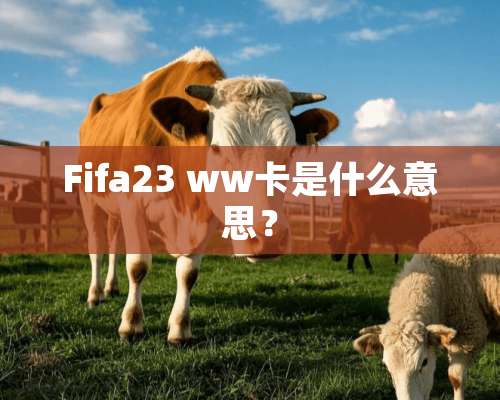 Fifa23 ww卡是什么意思？