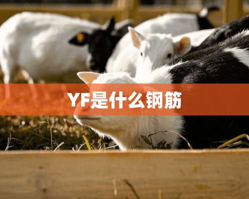 YF是什么钢筋