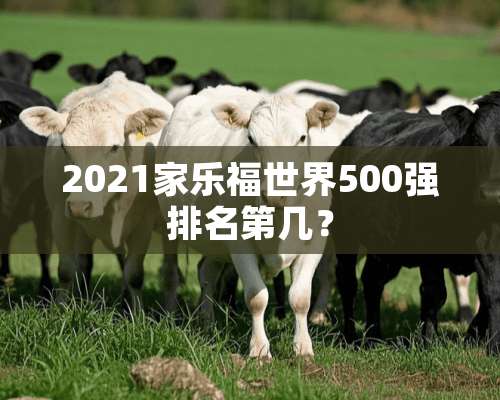 2021***世界500强排名第几？