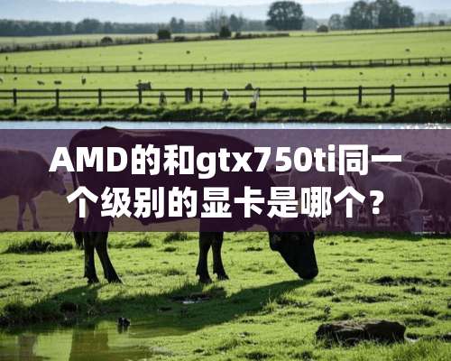 AMD的和gtx750ti同一个级别的显卡是哪个？