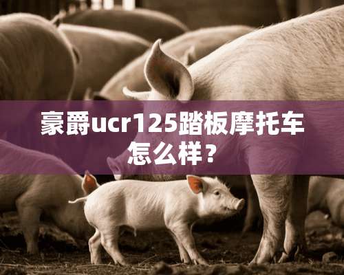 豪爵ucr125踏板摩托车怎么样？