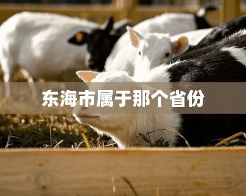 东海市属于那个省份