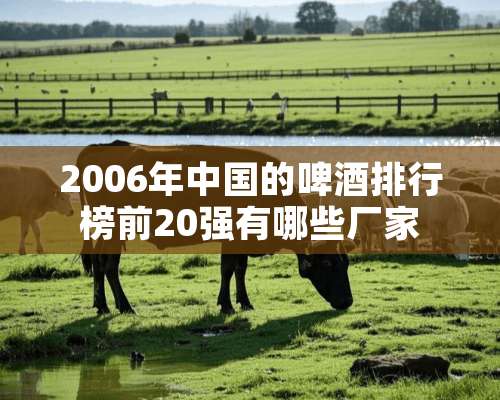 2006年中国的啤酒排行榜前20强有哪些厂家