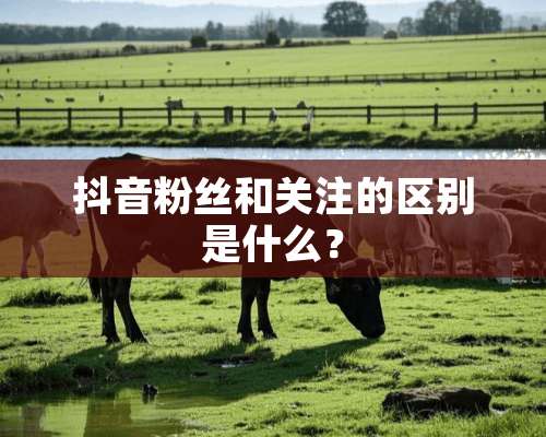 抖音粉丝和关注的区别是什么？