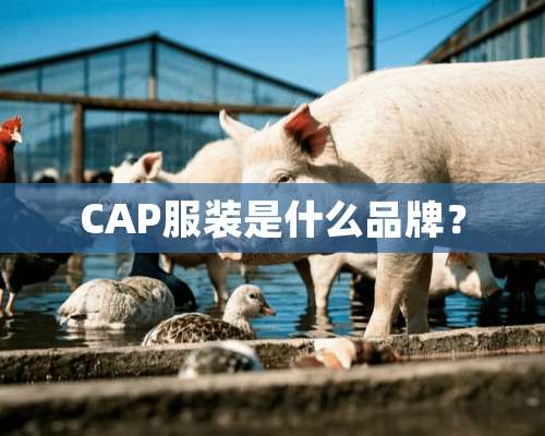 CAP服装是什么品牌？