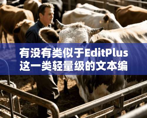 有没有类似于EditPlus这一类轻量级的文本编辑器