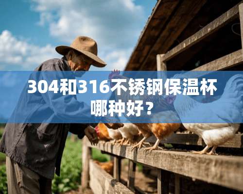 304和316不锈钢保温杯哪种好？