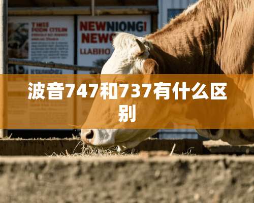 波音747和737有什么区别