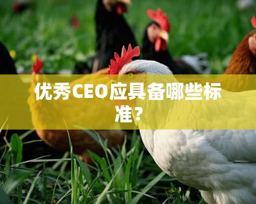 优秀CEO应具备哪些标准？