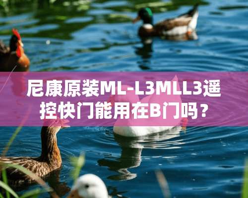 尼康原装ML-L3MLL3遥控快门能用在B门吗？