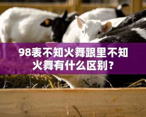 98表不知火舞跟里不知火舞有什么区别？