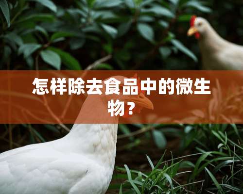 怎样除去食品中的微生物？