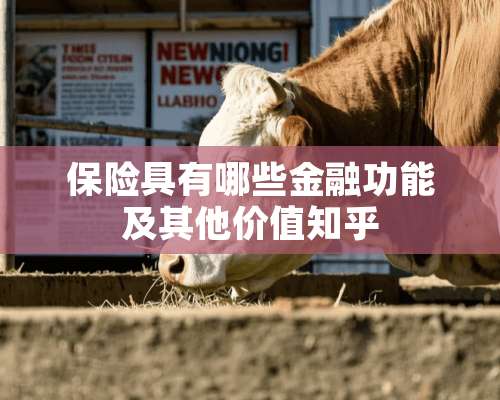 保险具有哪些金融功能及其他价值知乎