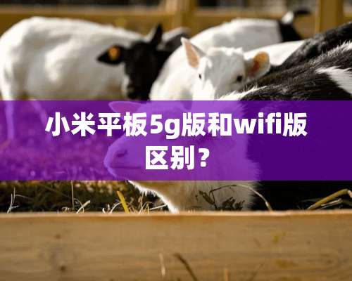 小米平板5g版和wifi版区别？