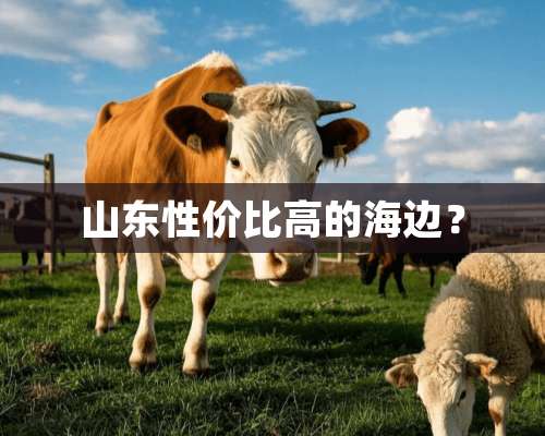 山东性价比高的海边？