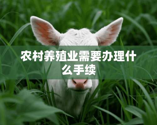 农村养殖业需要办理什么手续