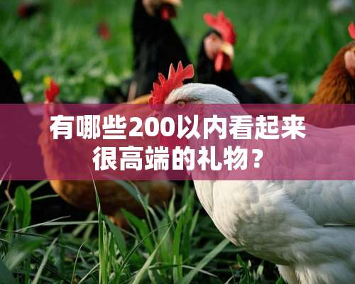 有哪些200以内看起来很高端的礼物？