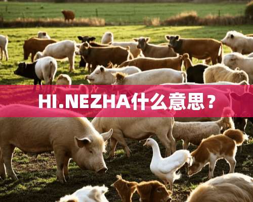 HI.NEZHA什么意思？