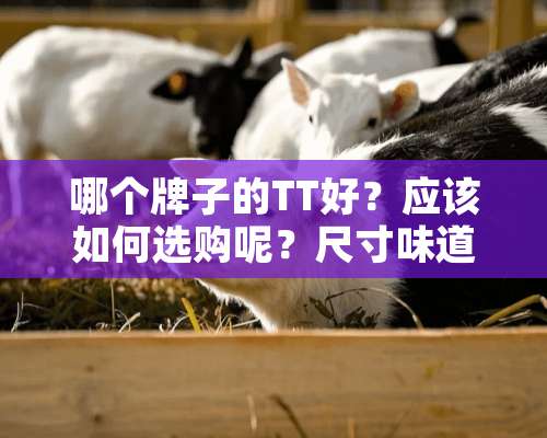 哪个牌子的TT好？应该如何选购呢？尺寸味道什么的