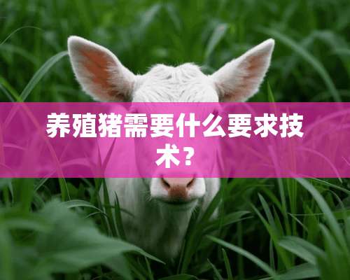 养殖猪需要什么要求技术？