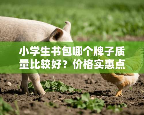 小学生书包哪个牌子质量比较好？价格实惠点？