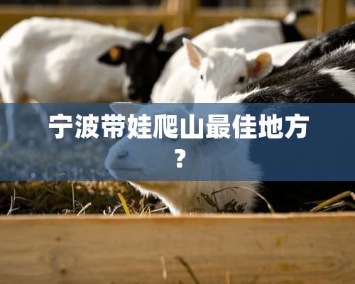 宁波带娃爬山最佳地方？