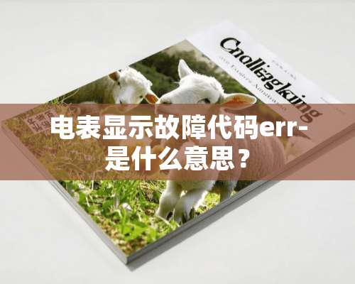 电表显示故障代码err-是什么意思？