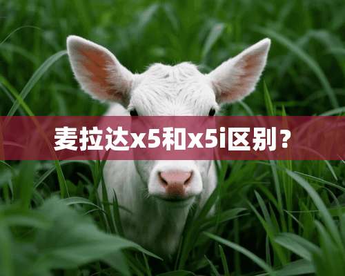 麦拉达x5和x5i区别？