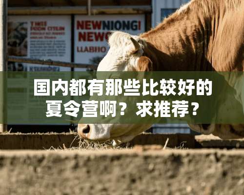 国内都有那些比较好的夏令营啊？求推荐？