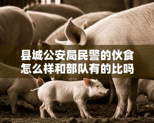 县城公安局民警的伙食怎么样和部队有的比吗？