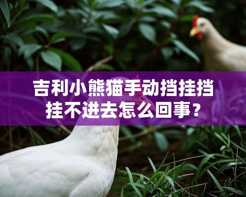 吉利小熊猫手动挡挂挡挂不进去怎么回事？