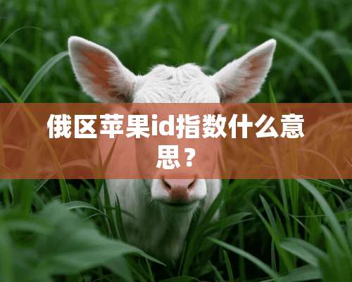 俄区苹果id指数什么意思？