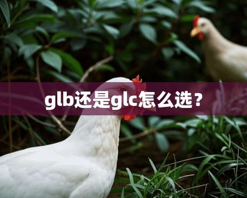 glb还是glc怎么选？