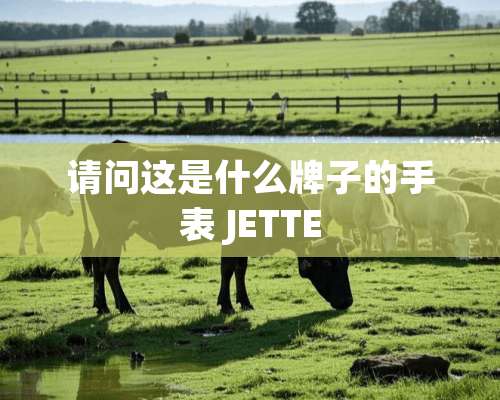 请问这是什么牌子的手表 JETTE