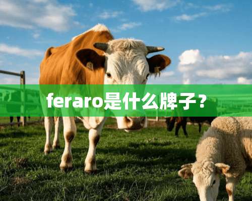 feraro是什么牌子？