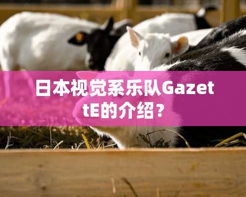 日本视觉系乐队GazettE的介绍？