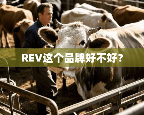 REV这个品牌好不好？