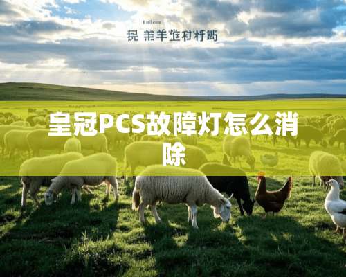 皇冠PCS故障灯怎么消除