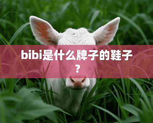 bibi是什么牌子的鞋子？