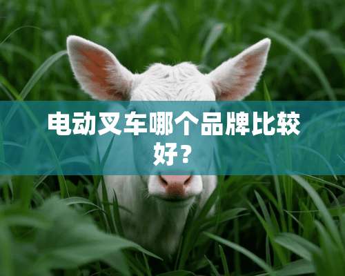 电动叉车哪个品牌比较好？