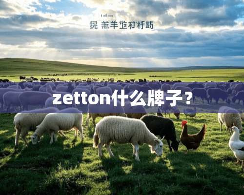 zetton什么牌子？