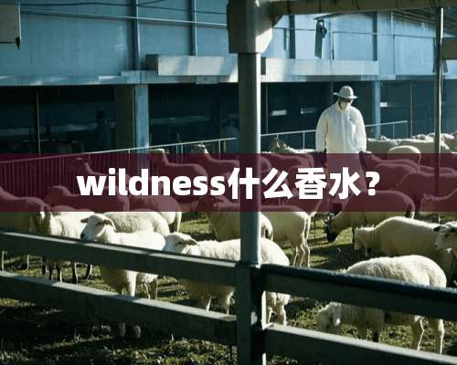 wildness什么香水？