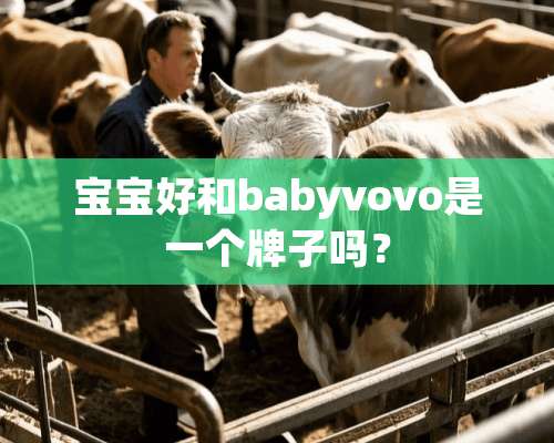 宝宝好和babyvovo是一个牌子吗？