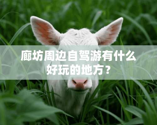 廊坊周边自驾游有什么好玩的地方？