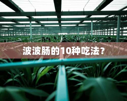 波波肠的10种吃法？