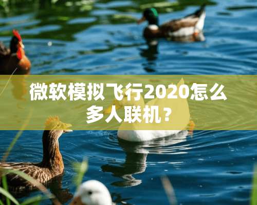 微软模拟飞行2020怎么多人联机？