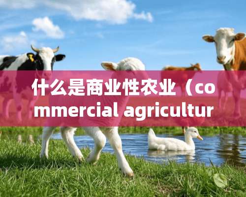 什么是商业性农业（commercial agriculture）