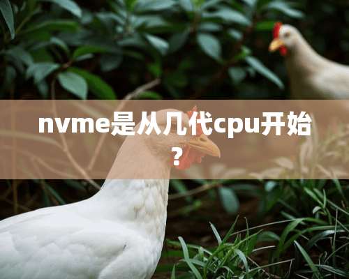 nvme是从几代cpu开始？