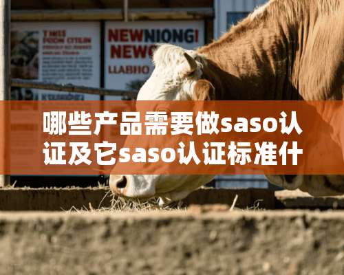 哪些产品需要做saso认证及它saso认证标准什么