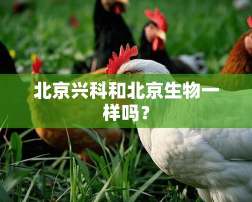 北京兴科和北京生物一样吗？